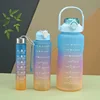 3PCS Sports Water Bottle Gradient Color Plastic Water Cup Large Capacity Portable Gym Fitness Jugs Outdoor Drinking Kettle 5