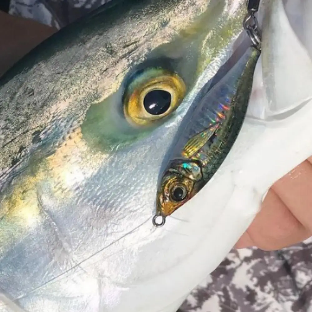 メタルファング MD  cm3dmju メタルファング MD cm3dmju