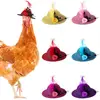 Chicken Hat for Hens 5