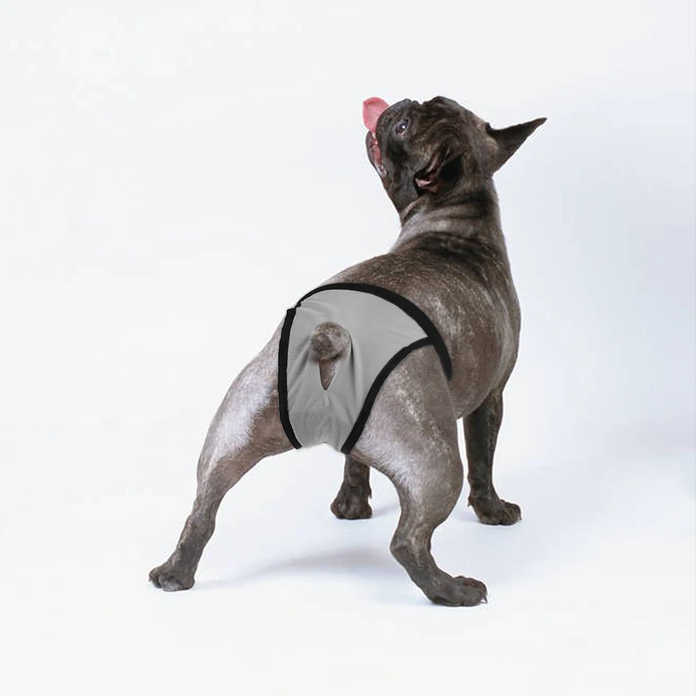 Female Dog Panties Adjustable Pet in Heat Menstrual Sanitary Physiological Pants Reusable Diapers for Small Medium Large Dogs dog diapers pet diapers dog nappies