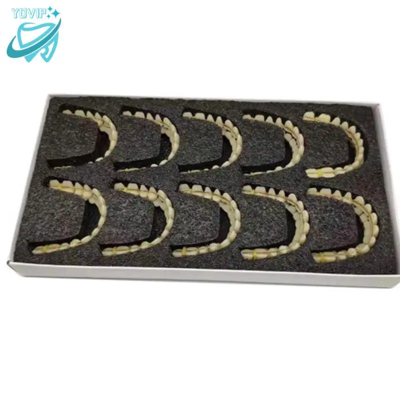 28pcs Resin False Teeth Whitening Dentures Temporary Fake Tooth Upper Lower Removable Dental Veneers