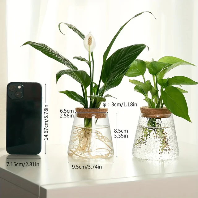 Glass Propagation Planter Vase 4