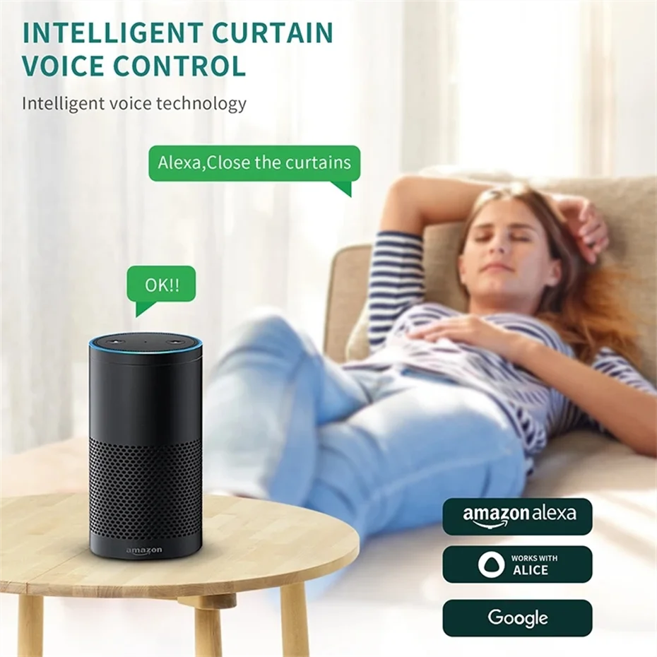 control alice alexa google home novo 01