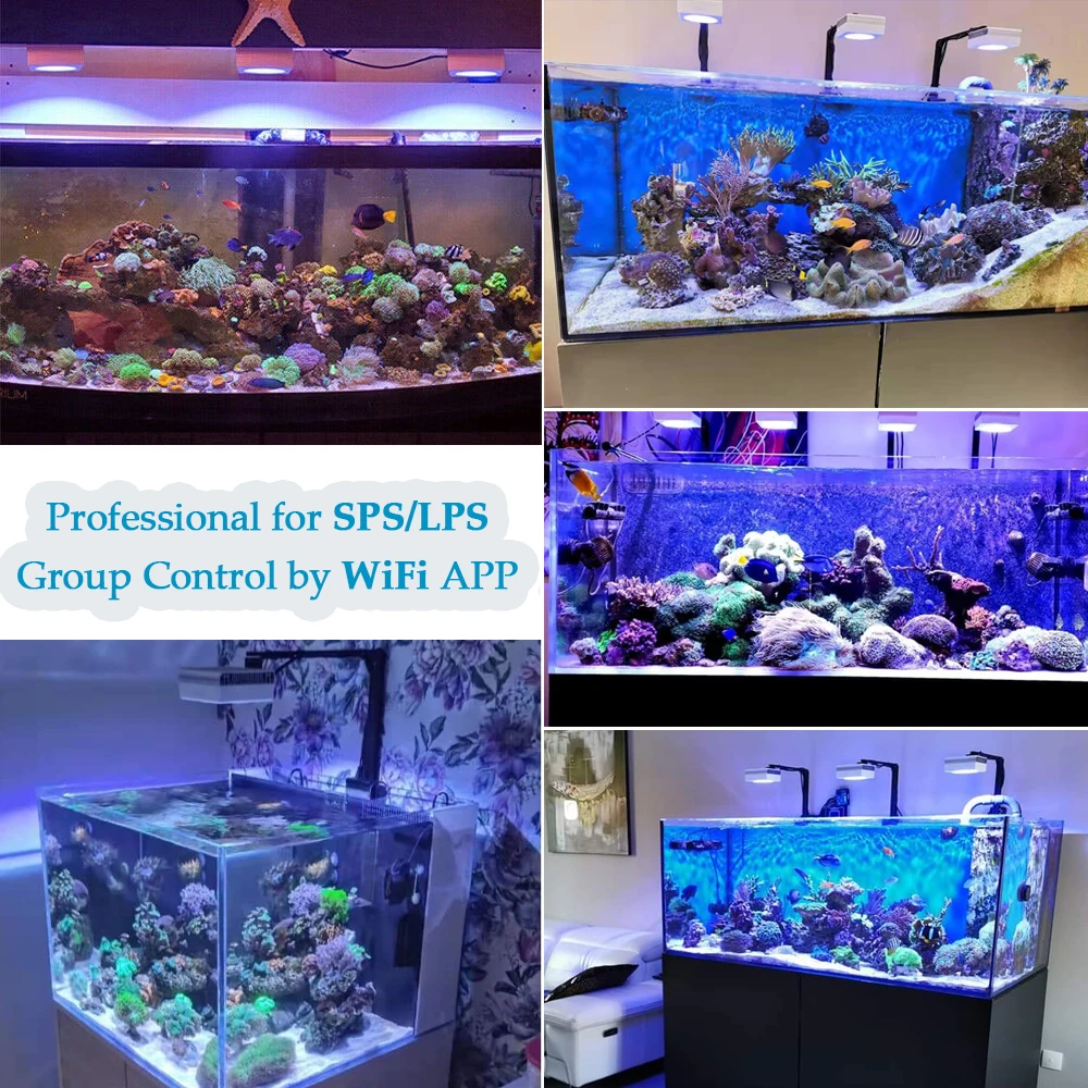 水槽照明 海水魚 サンゴ水槽 水草 フルスペクトルＬＥＤライトPopBloom Amazon.co.jp: B.R.S Lighting Master DC Bar【コーラルブルー