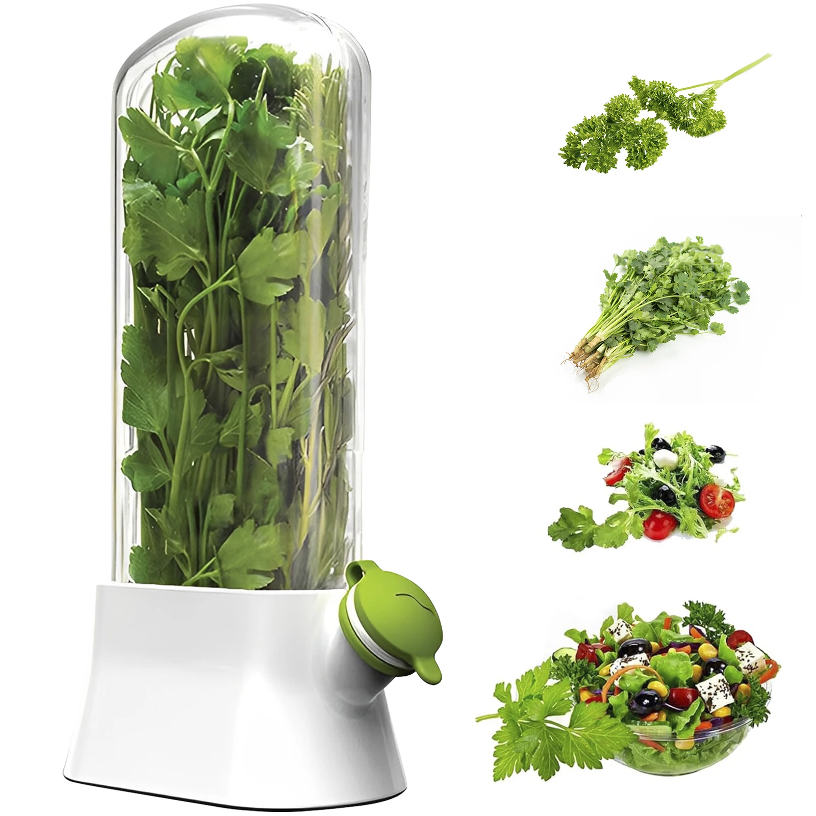 Clear Vegetable Saver Plastic Herb Storage Container Herb Saver For