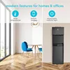 Avalon A3BLK Self Cleaning Bottom Loading Water Cooler Dispenser, 3 Temperature-UL/Energy Star Approved-Black Stainless Steel, 5 5