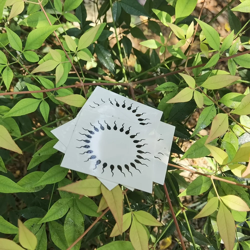 Nipple temporary tattoos, Adult Temporary Tattoo 2