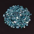 Gray Blue shell
