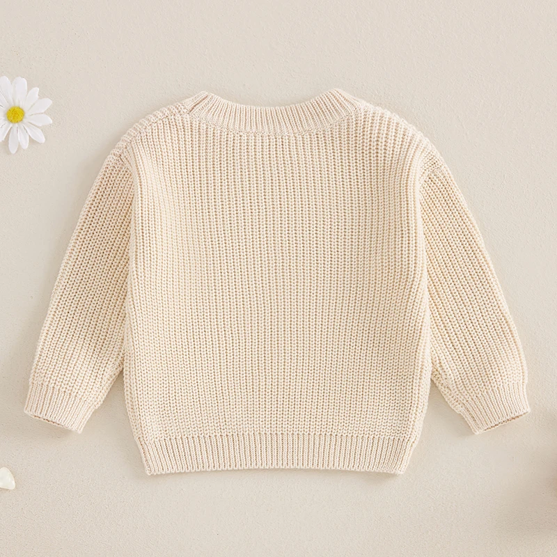  소년 스웨터 캐주얼 귀여운 공룡 자수 따뜻한 니트 긴 소매 풀오버  니트웨어 용