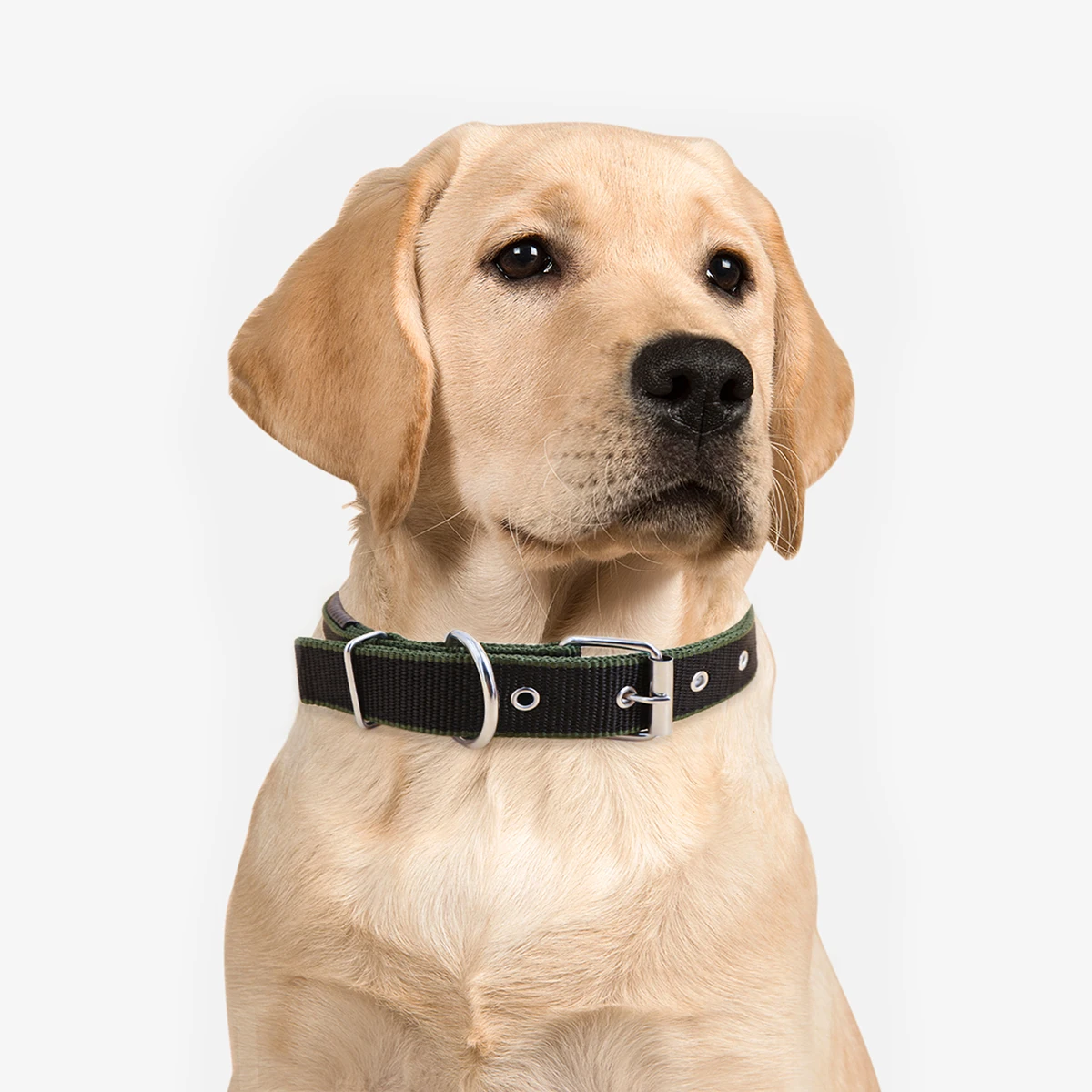 One Piece Nylon Dog Collar-Reversible Durable Natural Fabric-Fits Small to Medium Dogs