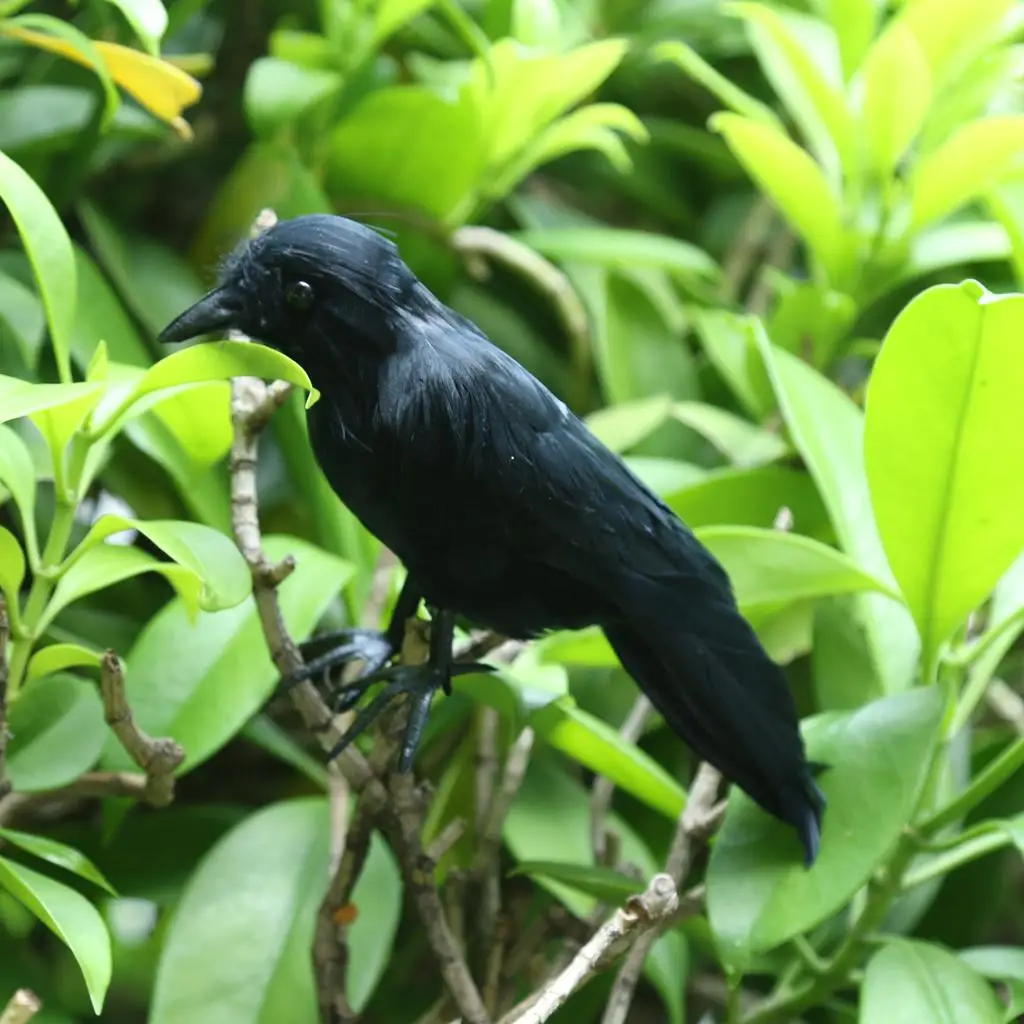 

Halloween Black Realistic Feather Artificial Bird Raven Prop Art and