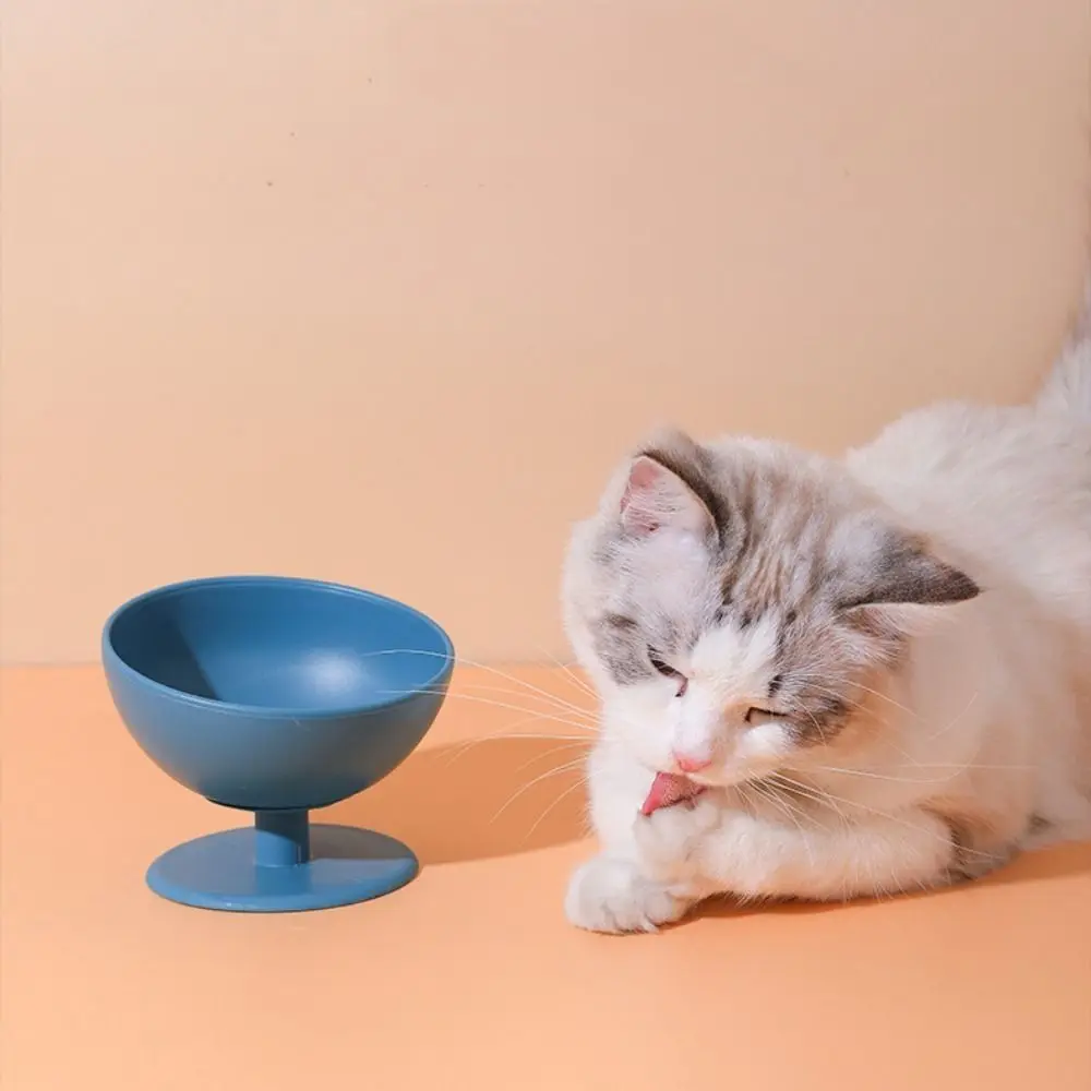 Title 8, Cat Raised Stand Feeding Bowl Transparent Plast...