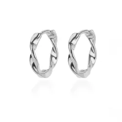 Luxury Star Stainless Steel Minimalist Hoop Earrings for Women and Girls - 2024 Collection (E3120S-3)