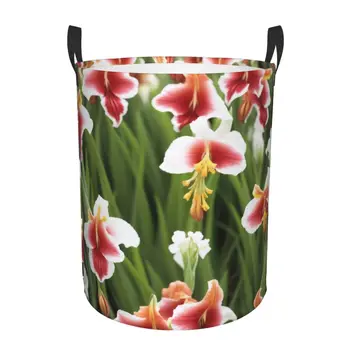 Gladiolus 꽃 프린트 원형 세탁 바구니 손잡이, 휴대용 방수 보관 버킷, 침실 의류 보관함, 중간 크기