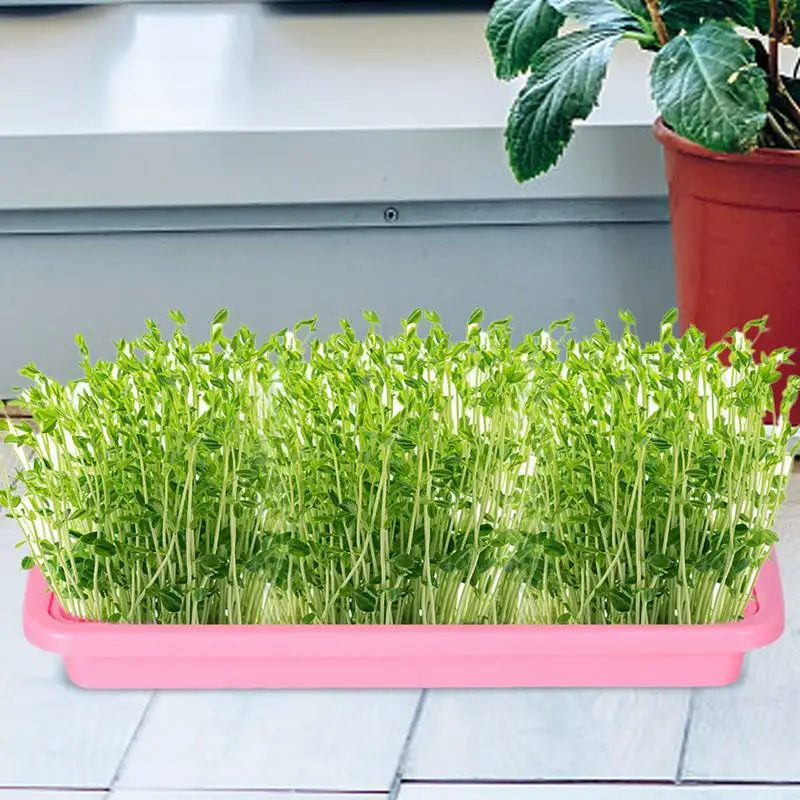 Plant Growing Trays Plant Tray Seedling Tray Propagation Tray Large Capacity Wheatgrass Grower Microgreens & Nursery Tray For 3