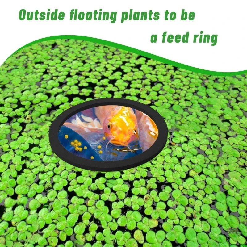 Floating Plant Corral & Fish Feeding Rings for Aquariums - Set of 5/10, Adjustable 80-200mm