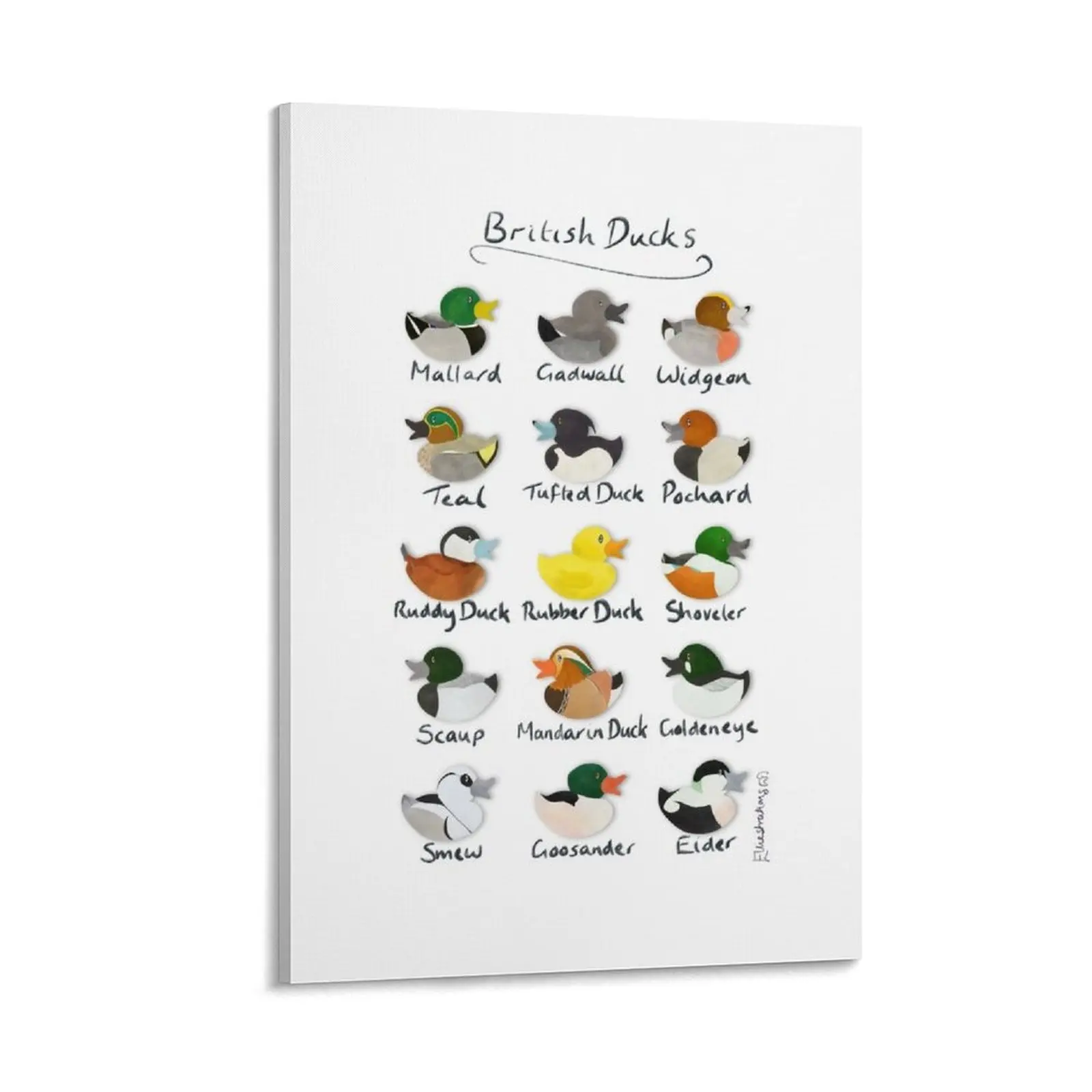 

Guide to British Ducks Canvas Painting vintage home decor Decoration for home