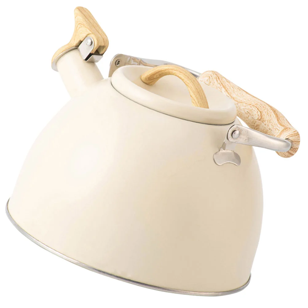 

Buzzing Kettle Rustproof Whistling Stainless Steel Water Jug Heater Handle Portable Stovetop Make Tea Japanese Teapot