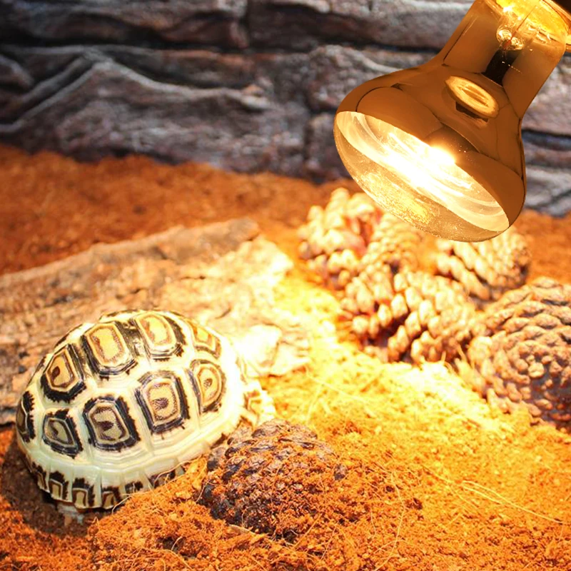 Full Spectrum 40W/60W Pet Reptile Heating Lamp UVA+UVB Turtle Basking UV Light Bulbs Heating Lamp Amphibians Lizards