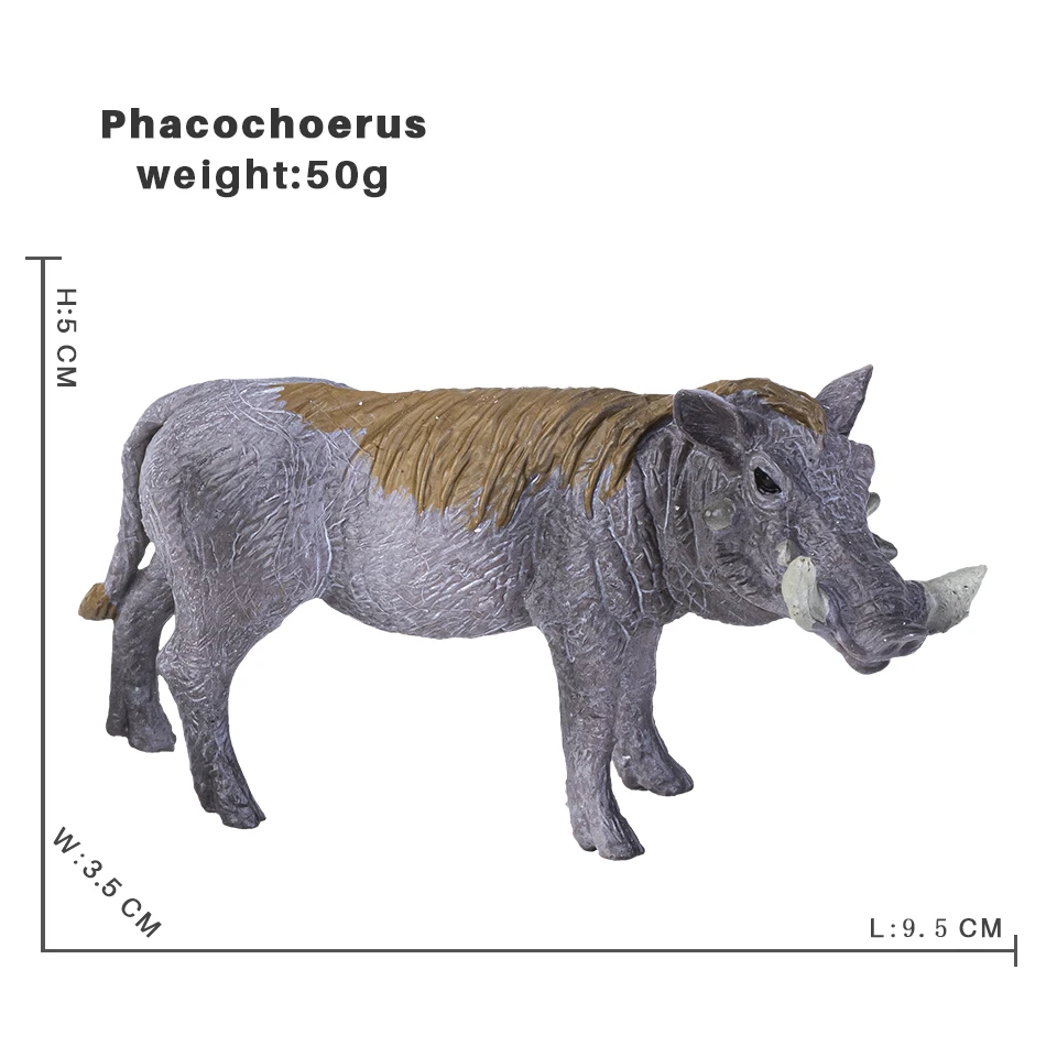 Phacochoerus