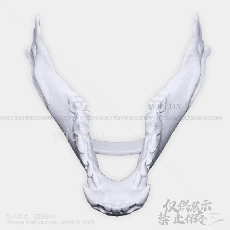 3D Print Head Fursuit Animal Furry Cosplay Dog Skull Kigurumi Props Polylactic Acid Mask Halloween Christmas Party Customized