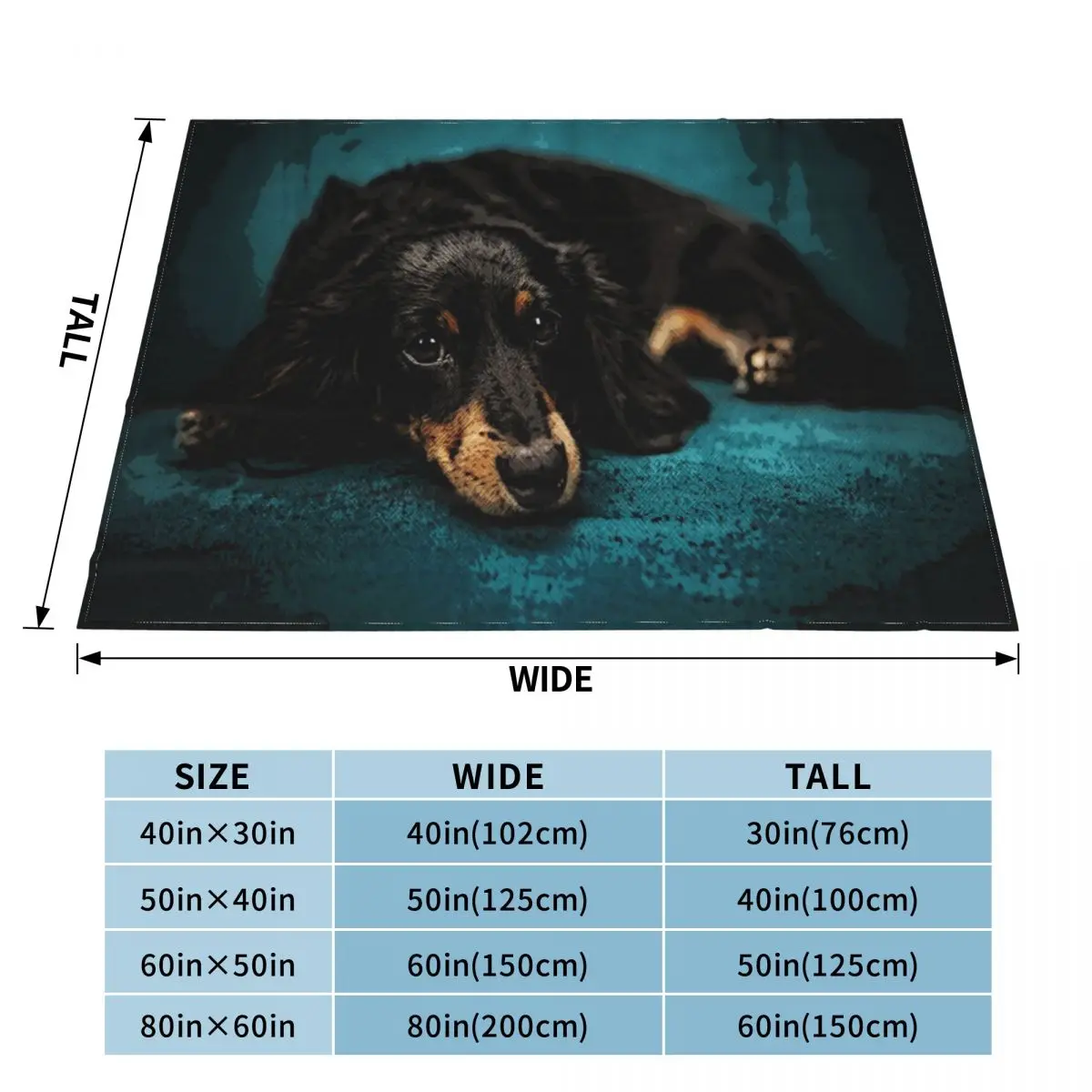 ��������� �ڽ���Ʈ ������ ���, �� ���, ǫ���� ���, ���� ���� ���