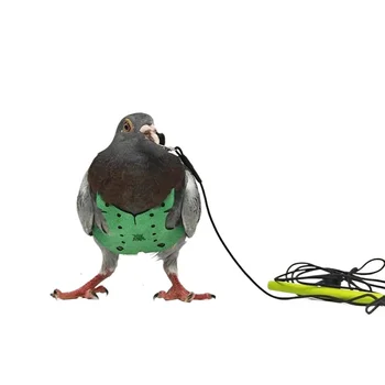 Parrot Pigeon Harness And Leash Flying Anti-bite Traction Rope Straps Bird Training Outdoor Carrying Adjustable Bird Pet Product