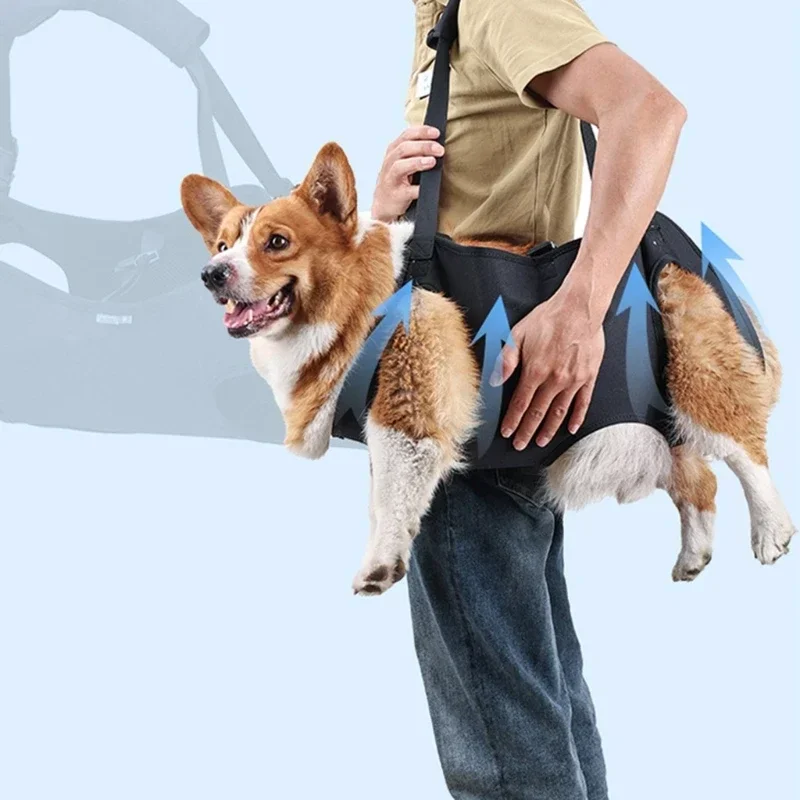 Dog Lift Harness For Large Dogs 2