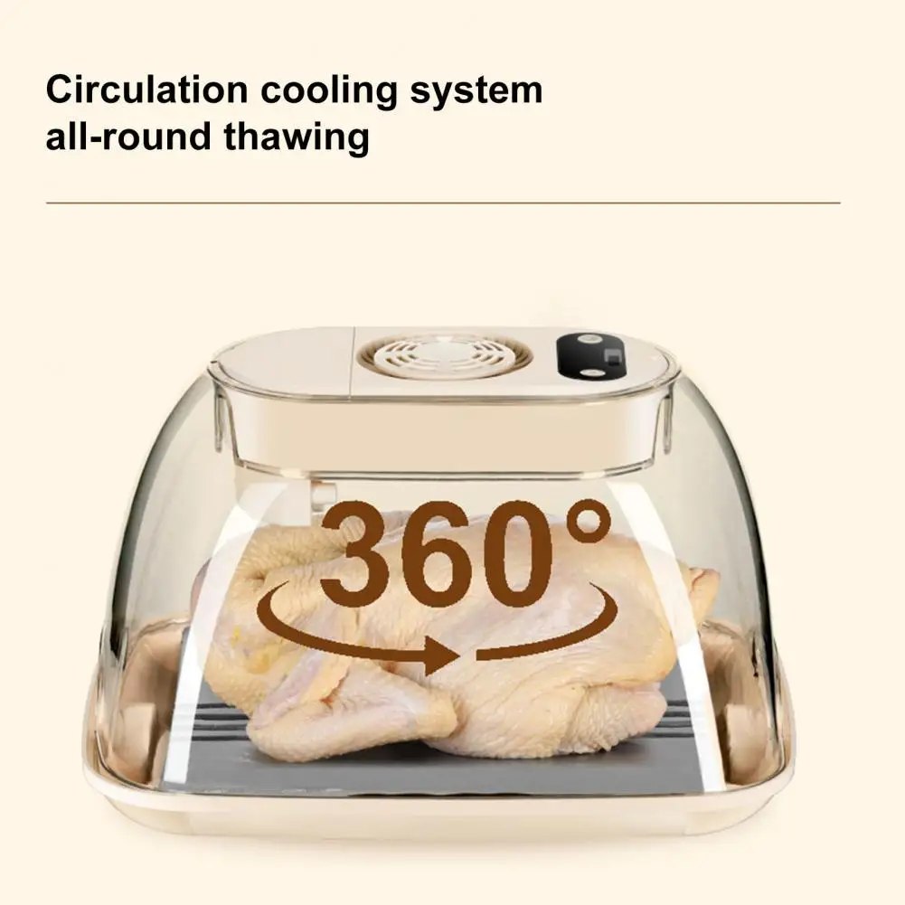 Kitchen Quick Thaw Machine Food Grade Aluminum Meat Steak Rapid  Preservation And Defrosting Tray Household Ice Melting Artifact - AliExpress