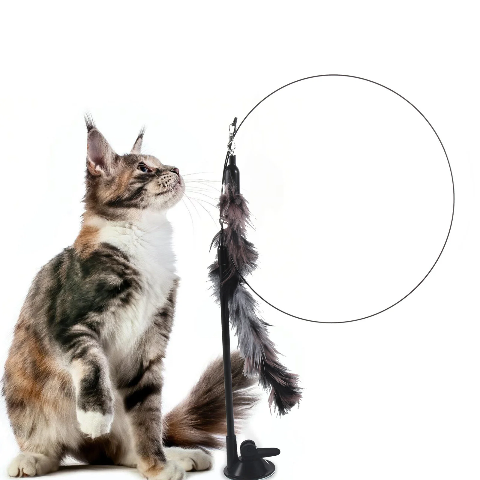 Fishing Rod Cat Wands Suction Cup Teaser Cats Decorative Toys Catnip  Interactive Kitten Indoor Pole - AliExpress