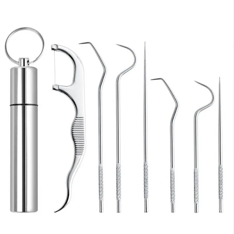 

7Pcs Toothpick Set Metal Stainless Steel Oral Cleaning Tooth Flossing Portable Toothpick Floss Teeth Cleaner with Storage Tube