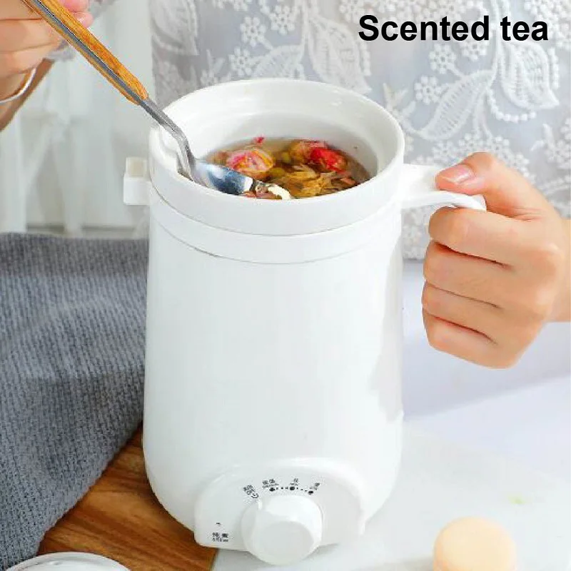 110V/220V Health Pot Office Porridge Cup Dormitory Mini Heat Water Cup Portable Bird's Nest Flower Tea Electric Stew Cup 500ML 2