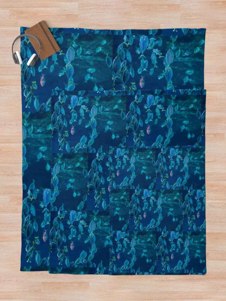 �Ƹ��ٿ� ���� �׷� ������ ������ ���, �ʴ��� ������ ���, ������ ���� �̺�