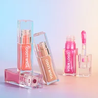 Private Label Lip Gloss Pigment Long-lasting Waterproof Matte Glossy Custom Logo Makeup Wholesale P238 Transparent Square Tube 1