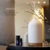 VIVITEST Aromatherapy Diffuser, Essential Oil Diffuser for Aromatherapy 3