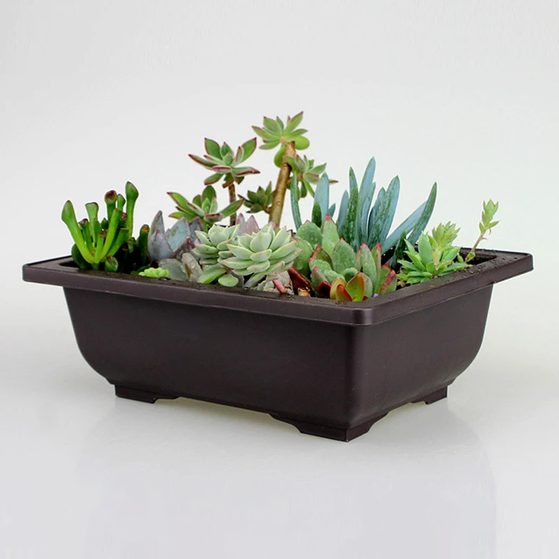 Description Picture 2 of itemFlowerpot Rectangular Square Imitation Purple Clay Flowerpot Succulent Flower Pot Bonsai Potted Plants Outdoor Garden Tray