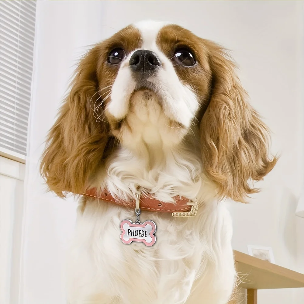 Custom Engraved Bone-Shaped Pet ID Tag – Durable Zinc Alloy 4