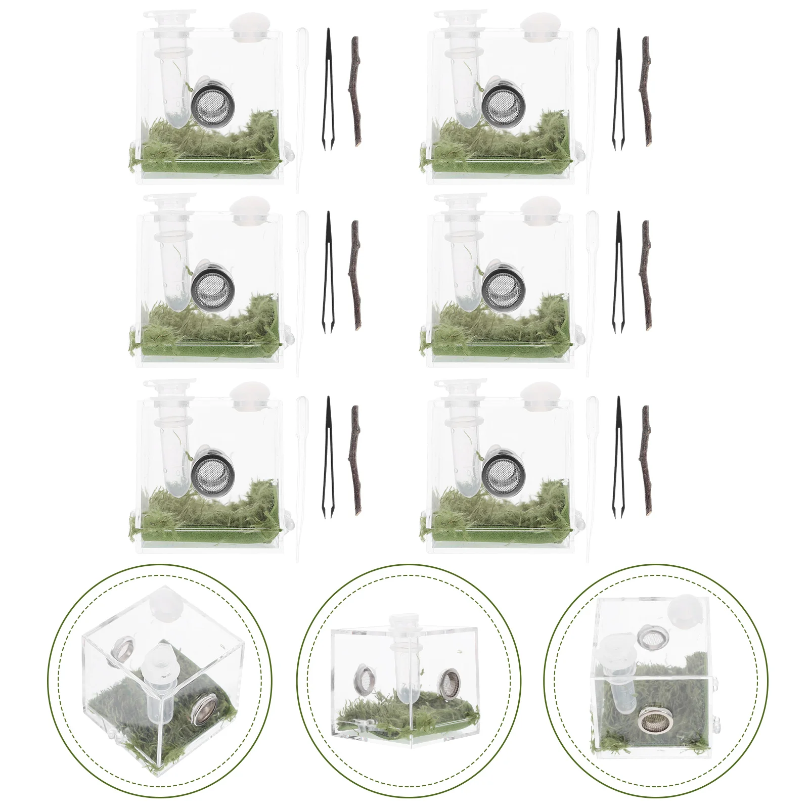 

2 Sets Jumping Spider Breeding Box Insect Container Animal Case Reptiles Holder The Fence Acrylic Feeding