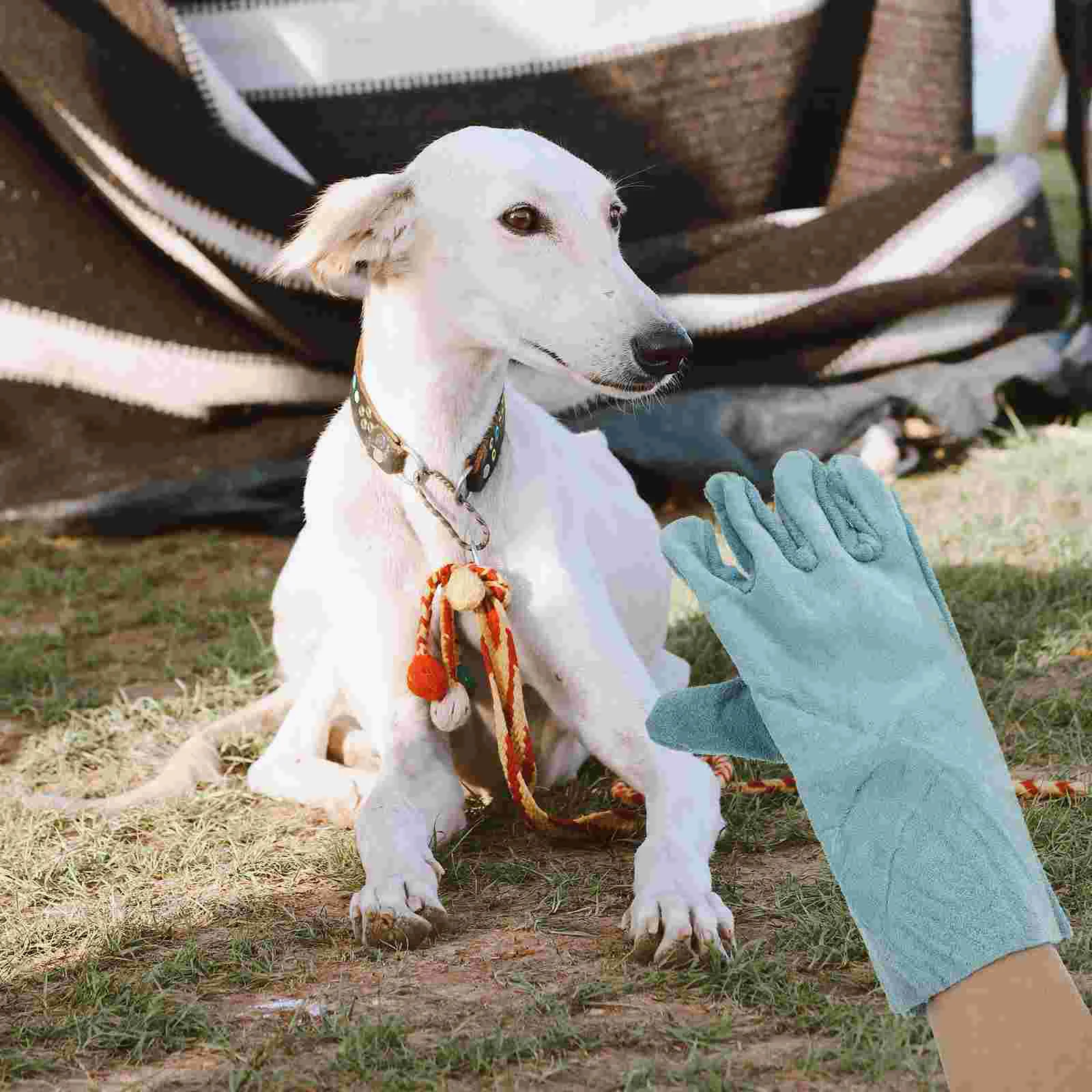 Five Fingers Dog Anti Bite Gloves Pet Playing Protective Gear Animals Training Supplies Pet Products Bite Proof Gloves