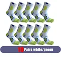 10 Pairs green