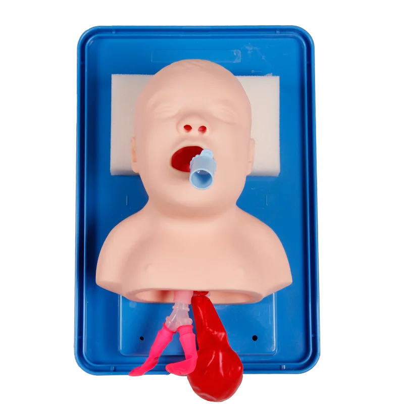 Neonatal Infant Tracheal Intubation Model Analog Double Lung and Stomach Expansion Child Tracheal Intubation Simulator neonatal tracheal intubation model
