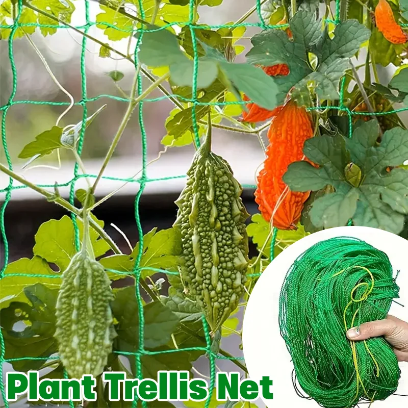 0.9-5m Thickened Nylon Plant Climbing Net Heavy Duty Vegetable Stands Protective Netting Gardening Plant Support Netting 0.9-5m Thickened Nylon Plant Climbing Net Heavy Duty Vegetable Stands Protective Netting Gardening Plant Support Netting