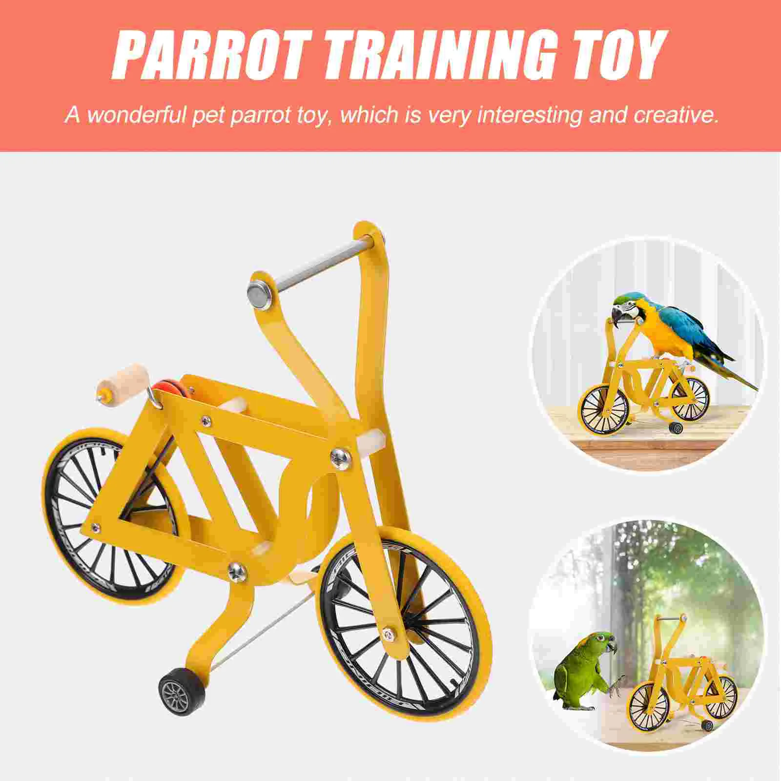 BCOATH Bicicleta Papagaio Patins Papagaio Jogo De Papagaio Brinquedo  Brinquedos De Papagaio Arara Brinquedos De Treinamento De Periquitos Jogo  De