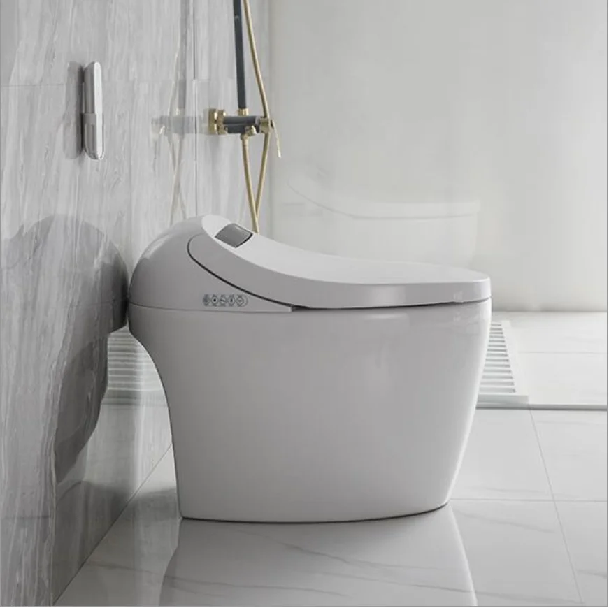 Intelligent Bidet Toilet Seat