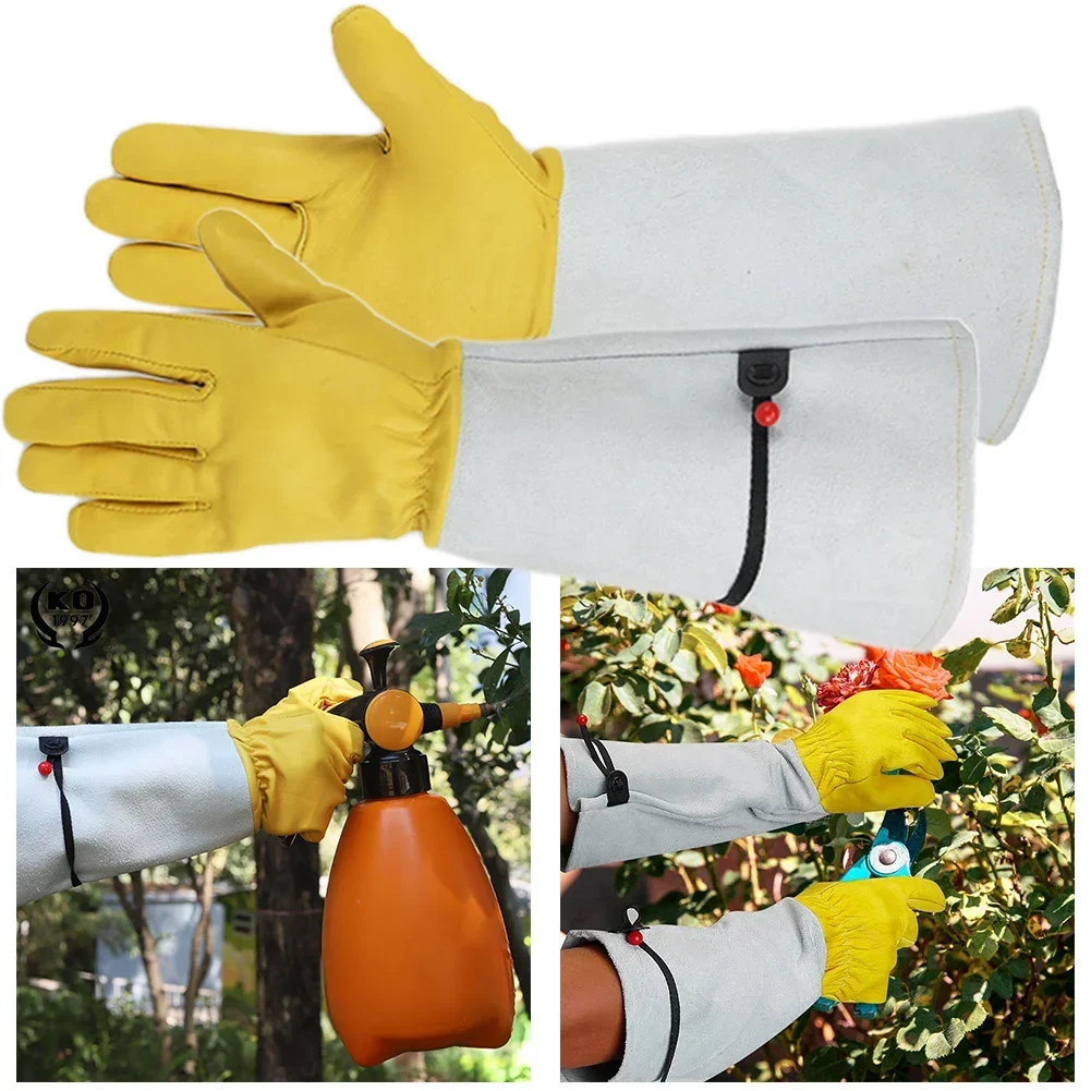 Pruning Gloves 2pcs Rose Pruning Gardening Thorn Proof Garden Tools