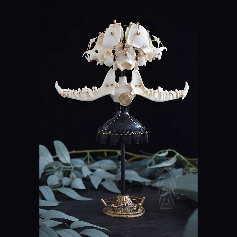 2116-Exploding-Skulls-Specimens-Bochen-Skulls-Home-Decorations-Bone ...