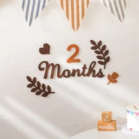 Baby Milestone Cards Soft Felt 0-12 Monthly Milestones Memorial Commemorativenir Photography Accessories For Newborn Birth Gift 3