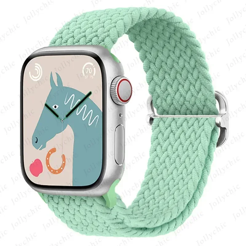 Elastic Braided Nylon Strap