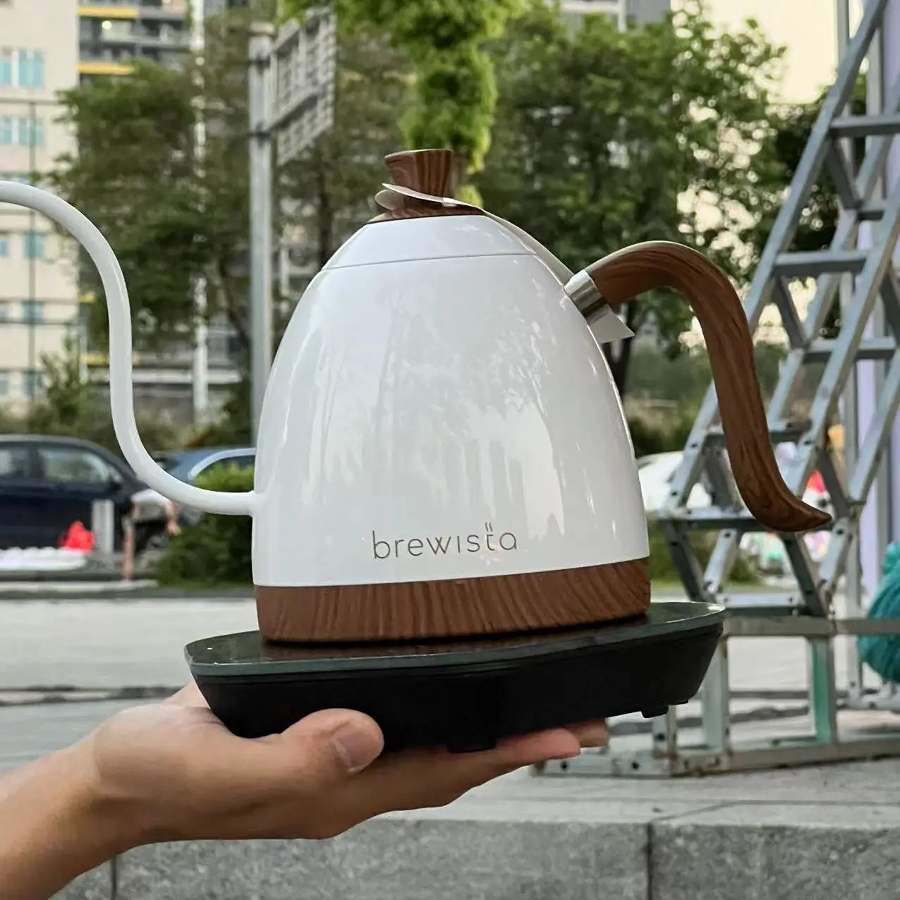 Brewista Stainless Steel Electric Coffee Kettle 600ml Tea Pot Constant  Temperature 220V Gooseneck Variale Temperature Control - AliExpress