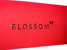 

Blossom by Will Tsai SansMinds , magic trick